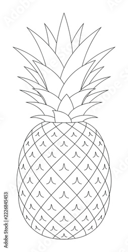 Fresh pineapple fruit outline with textured skin and leafy top for food illustrations.