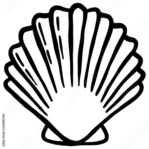 glossy aesthetic shape seashell from the ocean outline style hand drawn illustration