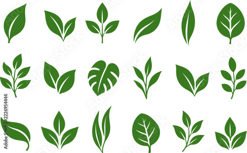 Green Botanical Leaf Vector Icon Set with Various Nature Foliage Silhouettes