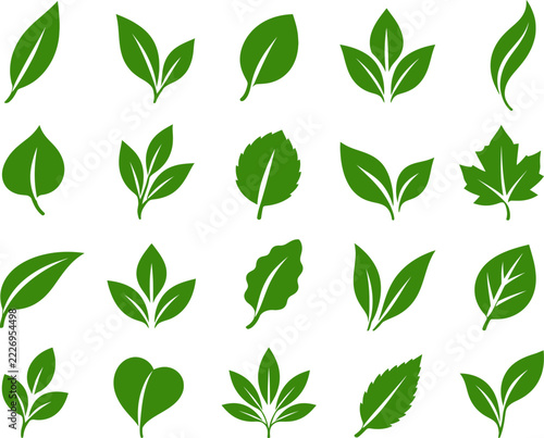 Green Minimalist Botanical Leaf Vector Icon Set on White Background