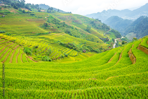 Breathtaking landscapes of terraced rice fields. Picturesque rice terraces of Mu Cang Chai  in Vietnam.