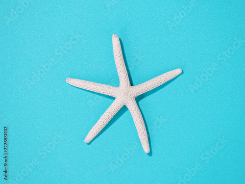 White Starfish Isolated On Vibrant Cyan Blue Paper Background