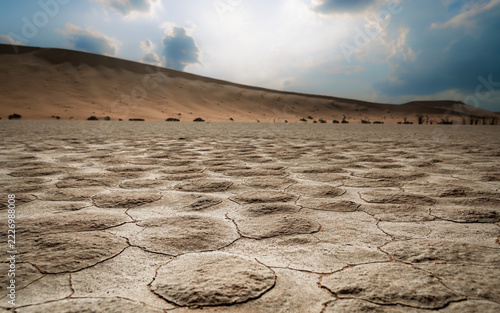Drought ravaged earth 