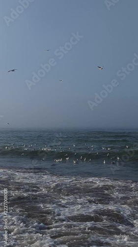 Vertical video of sea waves crashing and splashing white foam with seagulls fly in hazy blue sky