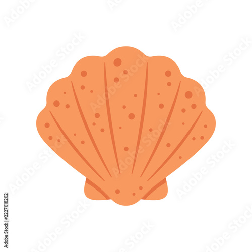 Orange seashell object isolated on white background depicting ocean life