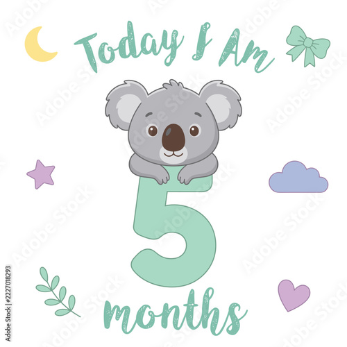 Cute koala baby milestone card for five months celebration with decorative elements