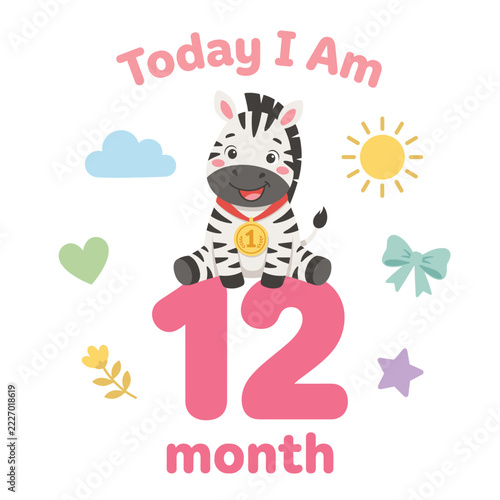 Cute cartoon baby zebra celebrating twelve months milestone with colorful decorative icons and bold typography