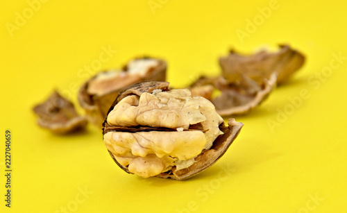 Freshly cracked walnut kernel on yellow background