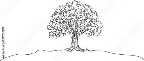 continuous line drawing of majestic oak tree standing on gentle hill, minimalist line art vector illustration representing nature, growth, and sustainability