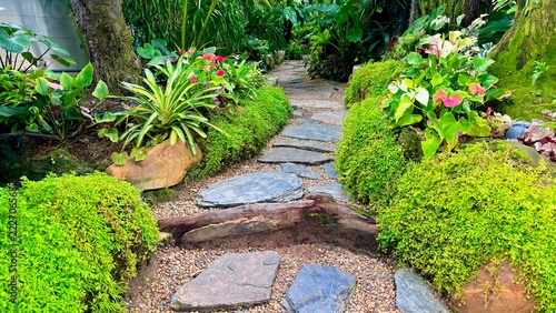 Stone Path Through a Lush Garden, Tropical garden landscape 