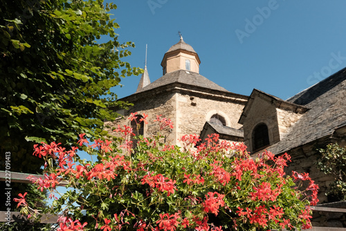 Vibrant red geranium flowers (in focus) blooming in front of the historic Romanesque Church of Sant Feliu de Vilac (out of focus). Aran Valley, Spain.