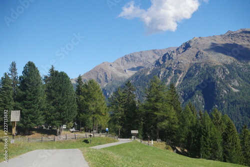 mountain landscape ,Blick ins Martelltal,
