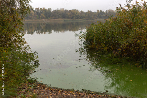 lake in autumn