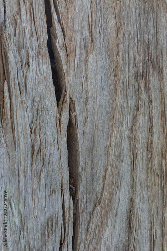 old wood background close up