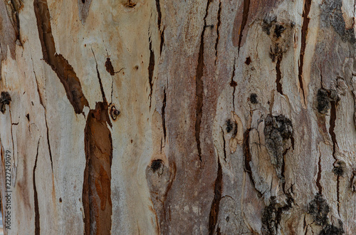 old wood background
