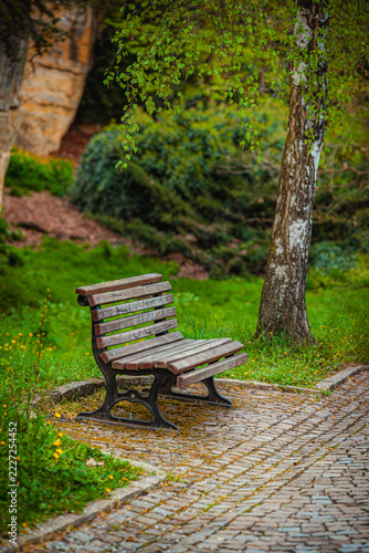 Empty wooden bench standing on a paved footpath in a quiet green park