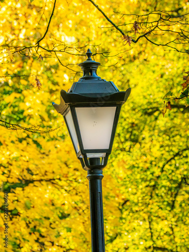 Vintage Street Lamp in Autumn Park With Yellow Leaves Bokeh Background and Warm Fall Light