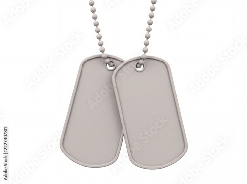 Blank metallic military dog tags on ball chains over white