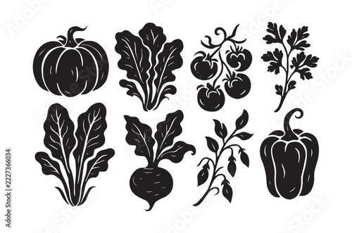Vegetable silhouettes against a white background depict a garden harvest