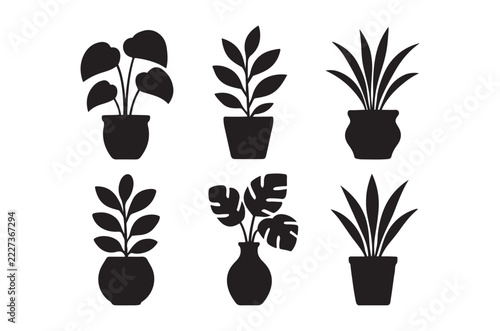 A collection of six black silhouette potted indoor plants