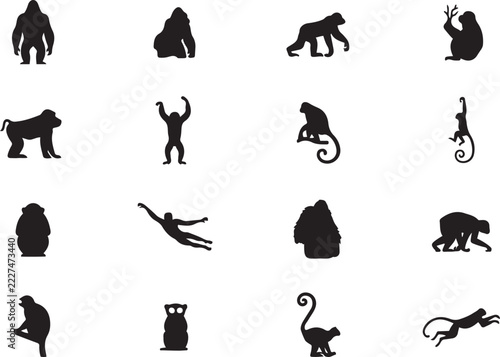 Canvas Print Gorilla and primate ape wildlife silhouette icons set with chimpanzee baboon and monkey icons