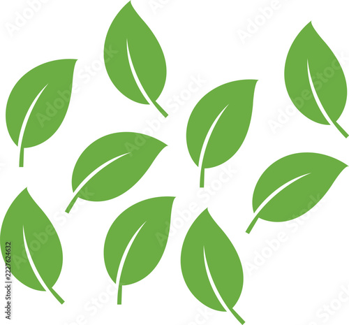 Green leaves in a simple flat vector illustration style are arranged floating on a clean white background.