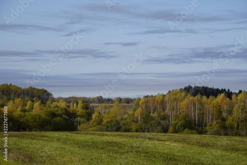 Beautiful autumn landscape with golden forest and green field.