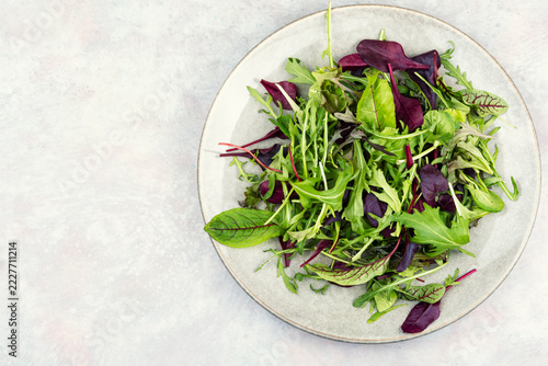 Mixed baby leaf salad with fresh herbs