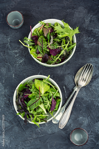Fresh herb and leafy green salad mix