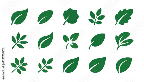 Diverse green leaf icon collection featuring various plant species for sustainable branding art.