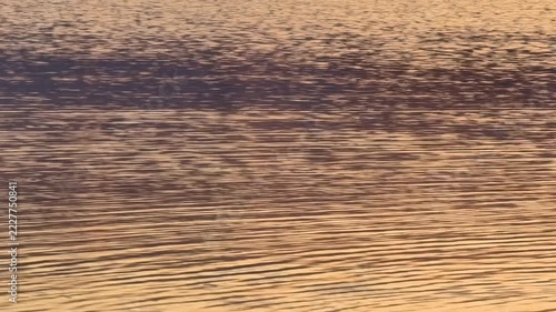 Golden sunlight reflection on water ripples of river lake surface during sunset
