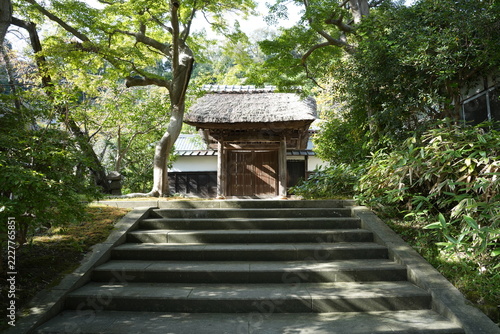 居士林（済蔭庵）