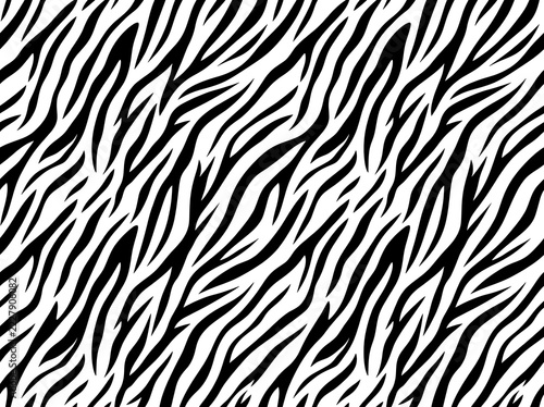 Zebra stripe pattern black white abstract seamless background texture