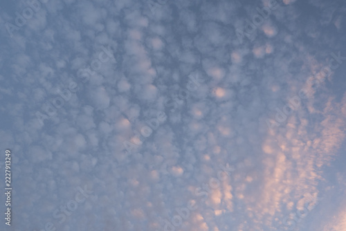 Beautiful altocumulus clouds pattern at sunset sky. Peaceful evening sky background filled with small fluffy clouds.