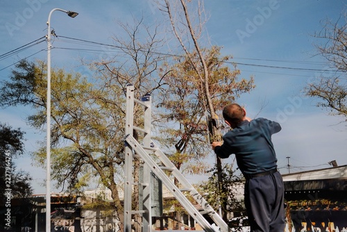 A worker standing on a ladder uses a hand saw to cut a tree branch in an outdoor urban setting. 