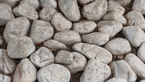 Obraz na plátně White and light gray rounded river stones of different sizes laid close together