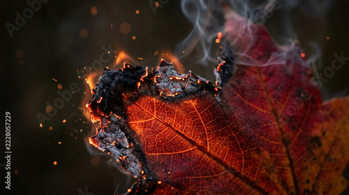 Burning autumn maple leaf with glowing embers and smoke on dark background