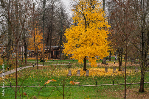 View of the autumn city park from the high bank of the river at the pier with boats.