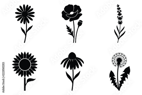 Wildflower silhouette set with daisy, poppy, lavender, sunflower, coneflower and dandelion, black vector icons