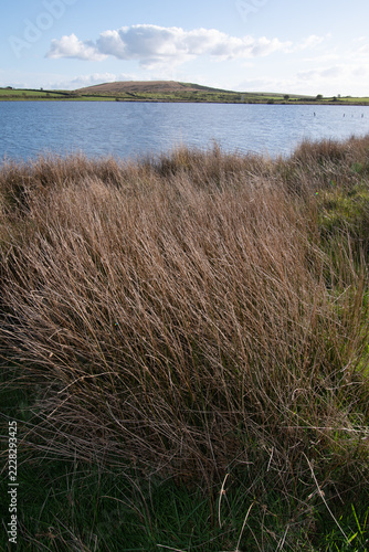 Dozmary Pool, Bodmin Moor, Cornwall in Arthurian Legend where Excalibur is cast