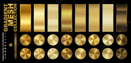 Obraz na plátně Gradient mesh wireframe indicator and golden swatches set with circular metallic