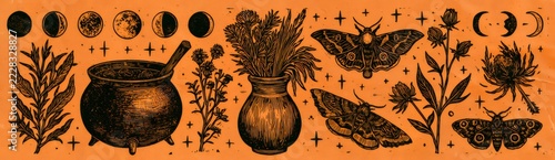 Occult witchcraft elements with moon phases and moths