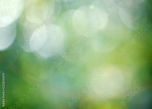 Green bokeh background from nature forest out of focus