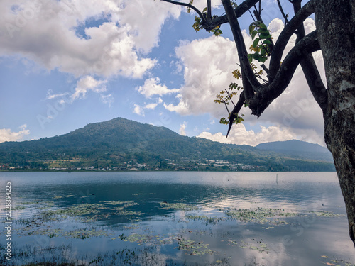 Scenic View of Lake and Mountain Landscape Framed by Tree Branches