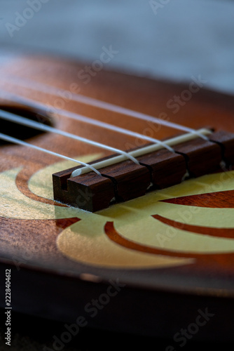 Obraz na plátně Close Up of Ukulele Strings and Sound Hole on Wooden Body