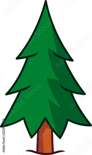 Stylized Hand-Drawn Evergreen Pine Tree Illustration