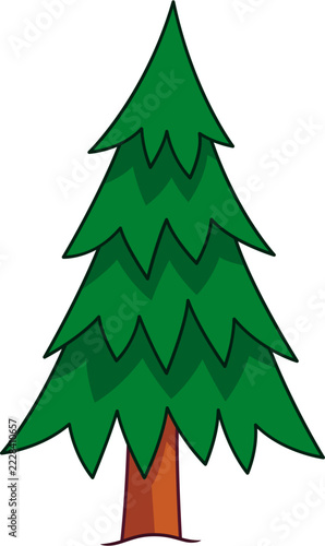 Stylized Hand-Drawn Evergreen Pine Tree Illustration