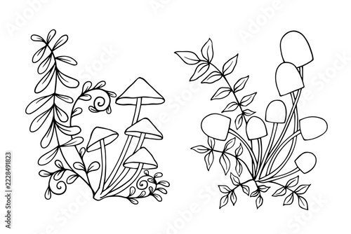 Line sketch and coloring page featuring an autumn composition of forest mushrooms (toadstools) and plants. Vector graphics.