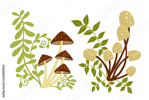 A colorful, flat-style autumn composition featuring forest mushrooms (toadstools) and plants. Vector graphics.