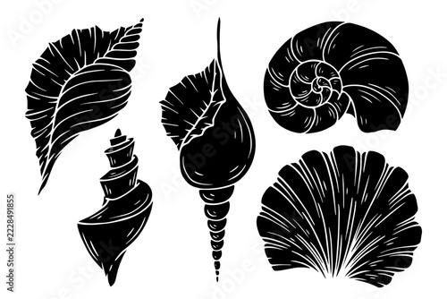 A collection of silhouettes and stamps of decorative seashells. Vector graphics.